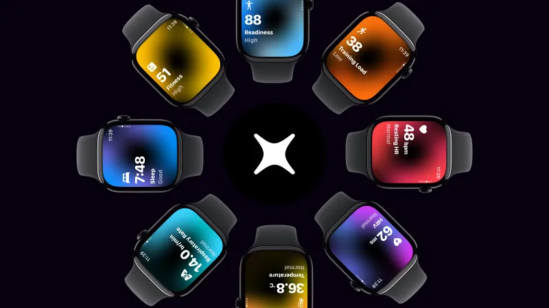 The whole watch dashboard, around the mark